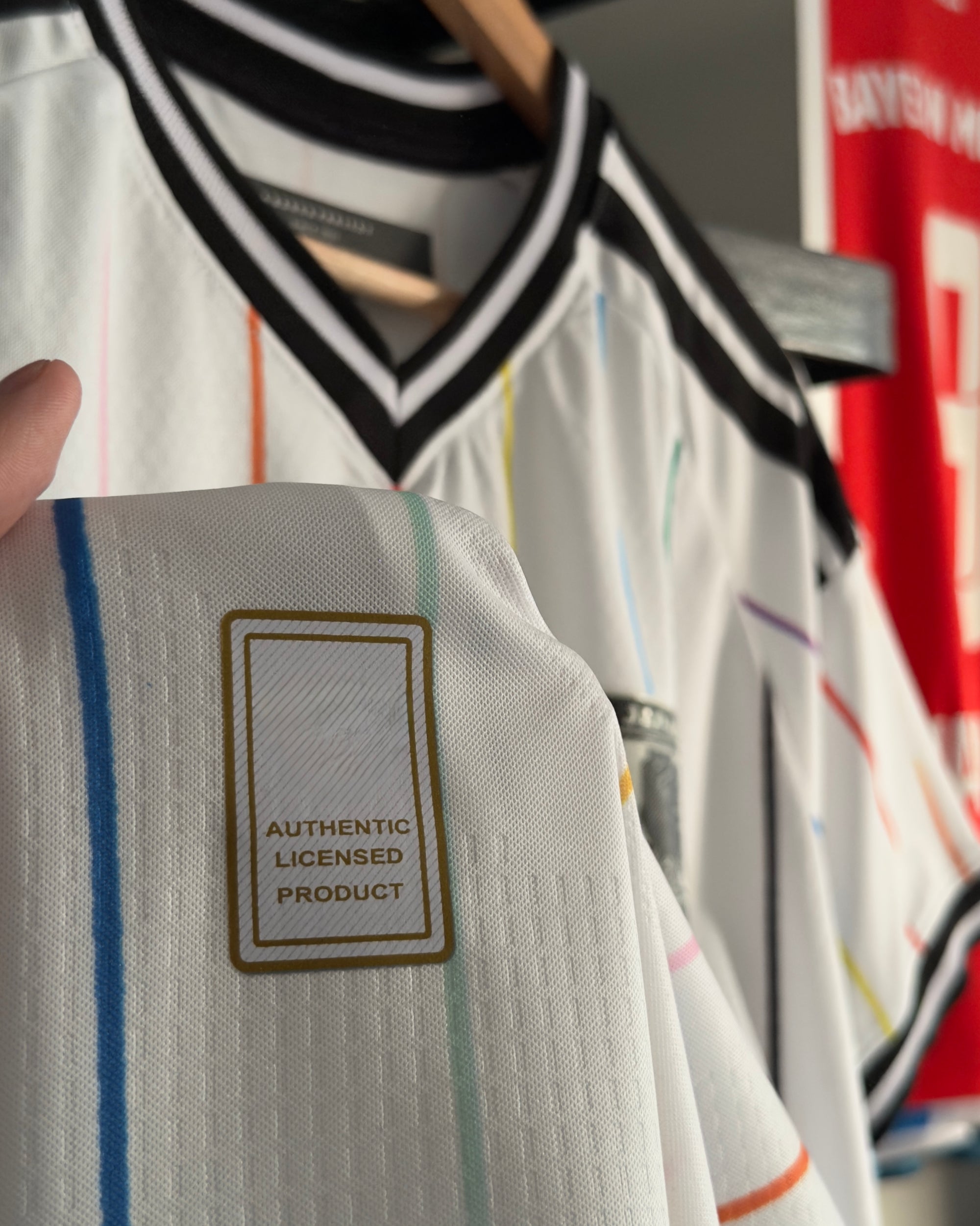 Japon Alterna Mundial 2026