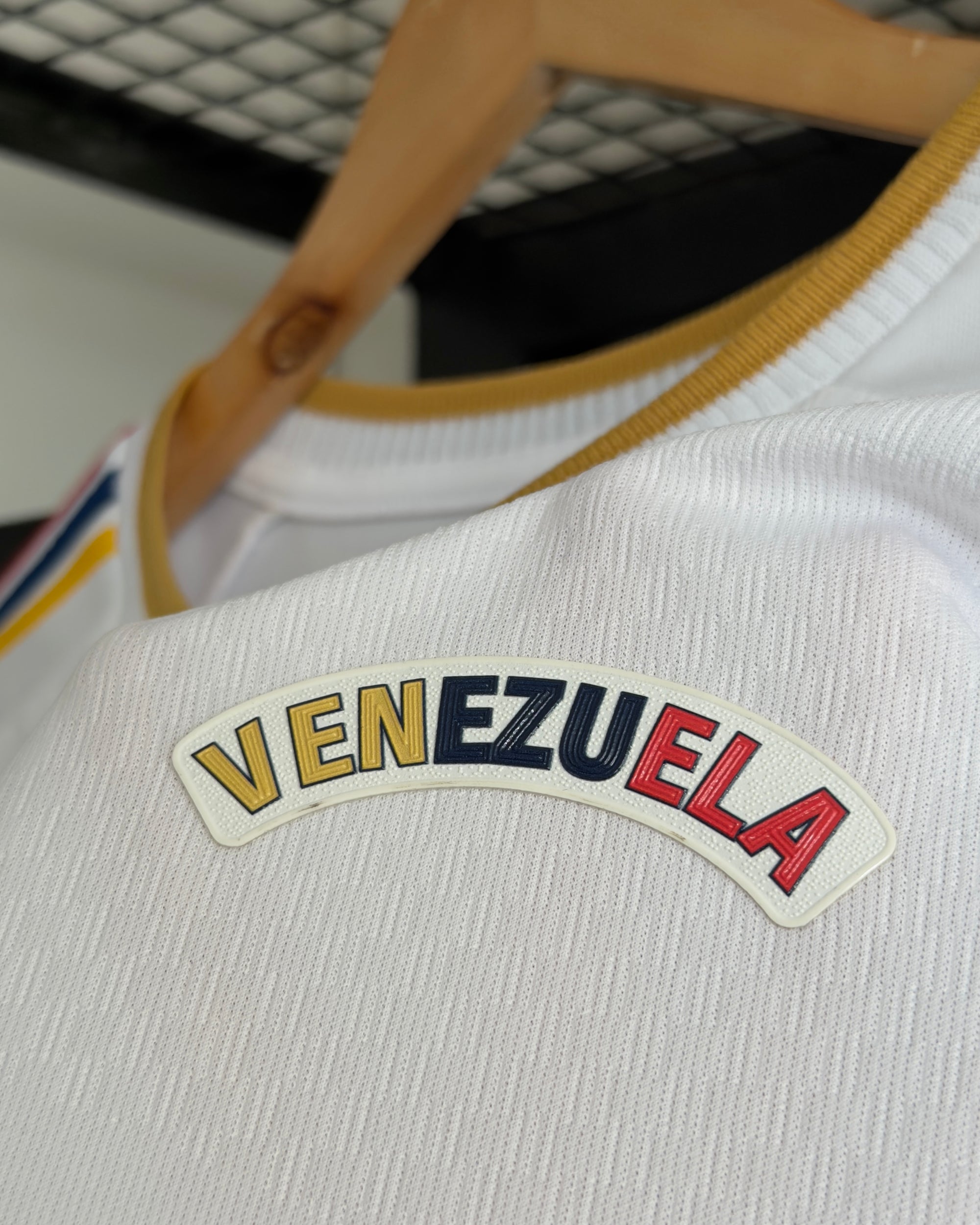 Venezuela Alterna 2026